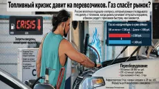 Топливный кризис давит на перевозчиков. Газ спасёт рынок?